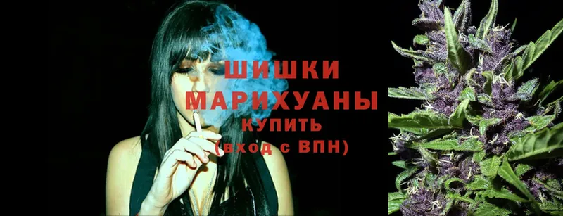 цена наркотик  Богородск  Шишки марихуана White Widow 